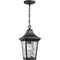 Progress Lighting Marquette Collection One-Light Hanging Lantern with DURASHIELD P550062-031 - alternate 7